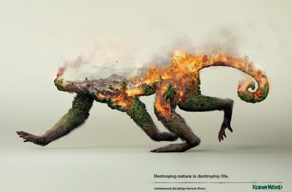 Destroying Nature Is Destroying Life Check Out And Share These Powerful Images And Facts On Deforestation Antoine Speaks